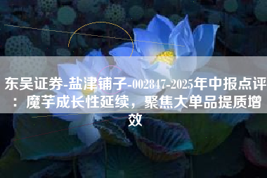 东吴证券-盐津铺子-002847-2025年中报点评：魔芋成长性延续，聚焦大单品提质增效