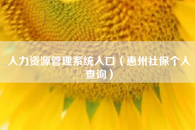 人力资源管理系统入口（惠州社保个人查询）