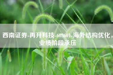 西南证券-再升科技-603601-海外结构优化，业绩阶段承压