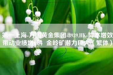 第一上海-万国黄金集团-3939.HK-降本增效带动业绩增长，金岭矿潜力巨大（繁体）