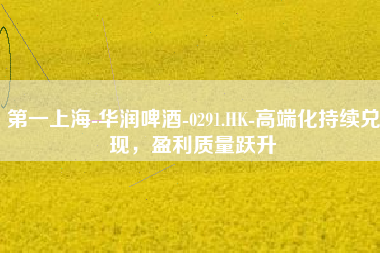 第一上海-华润啤酒-0291.HK-高端化持续兑现，盈利质量跃升