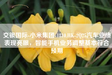 交银国际-小米集团-1810.HK-2Q25汽车业绩表现亮眼，智能手机业务调整基本符合预期