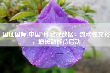 国证国际-中国7月宏观数据：流动性充裕，增长动能待启动