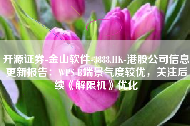 开源证券-金山软件-3888.HK-港股公司信息更新报告：WPS B端景气度较优，关注后续《解限机》优化