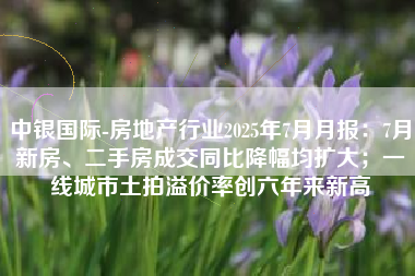 中银国际-房地产行业2025年7月月报：7月新房、二手房成交同比降幅均扩大；一线城市土拍溢价率创六年来新高