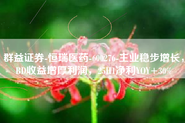 群益证券-恒瑞医药-600276-主业稳步增长，BD收益增厚利润，25H1净利YOY+30%