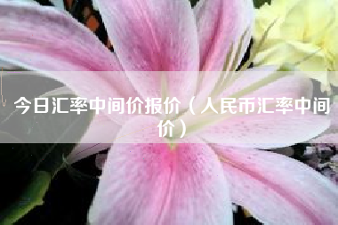 今日汇率中间价报价（人民币汇率中间价）