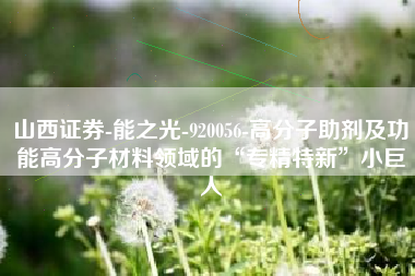 山西证券-能之光-920056-高分子助剂及功能高分子材料领域的“专精特新”小巨人