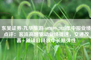东吴证券-九华旅游-603199-2025年中报业绩点评：客流高增驱动业绩提速，交通改善+新项目释放中长期弹性