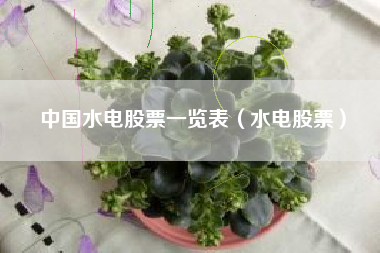 中国水电股票一览表（水电股票）