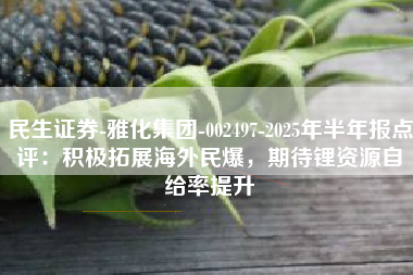 民生证券-雅化集团-002497-2025年半年报点评：积极拓展海外民爆，期待锂资源自给率提升