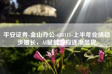 平安证券-金山办公-688111-上半年业绩稳步增长，AI赋能效应逐渐显现