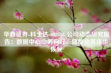 华鑫证券-科士达-002518-公司动态研究报告：数据中心业务向好，储能业务逐步恢复