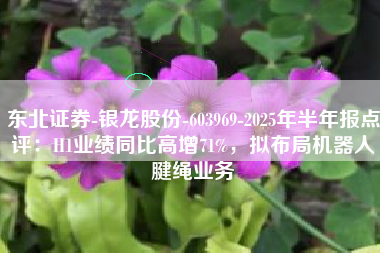 东北证券-银龙股份-603969-2025年半年报点评：H1业绩同比高增71%，拟布局机器人腱绳业务