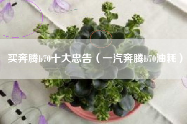 买奔腾b70十大忠告（一汽奔腾b70油耗）