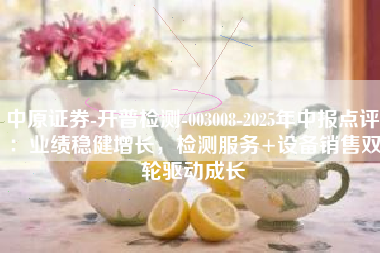 中原证券-开普检测-003008-2025年中报点评：业绩稳健增长，检测服务+设备销售双轮驱动成长