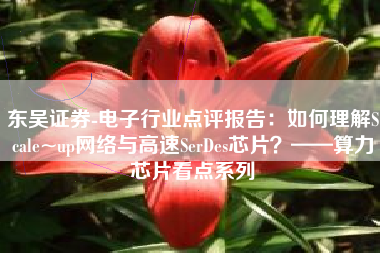 东吴证券-电子行业点评报告：如何理解Scale~up网络与高速SerDes芯片？——算力芯片看点系列