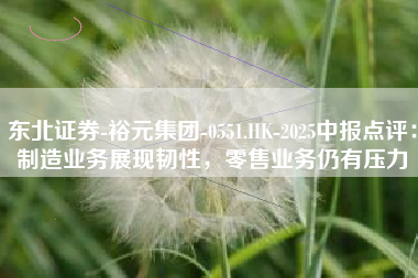 东北证券-裕元集团-0551.HK-2025中报点评：制造业务展现韧性，零售业务仍有压力