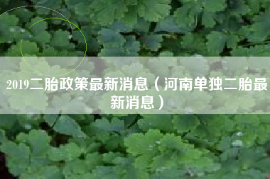 2019二胎政策最新消息（河南单独二胎最新消息）
