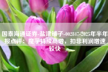 国泰海通证券-盐津铺子-002847-2025年半年报点评：魔芋持续高增，扣非利润增速较快