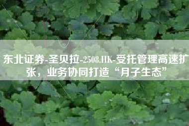 东北证券-圣贝拉-2508.HK-受托管理高速扩张，业务协同打造“月子生态”