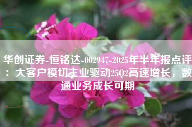 华创证券-恒铭达-002947-2025年半年报点评：大客户模切主业驱动25Q2高速增长，数通业务成长可期