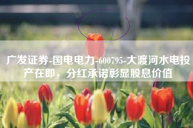 广发证券-国电电力-600795-大渡河水电投产在即，分红承诺彰显股息价值