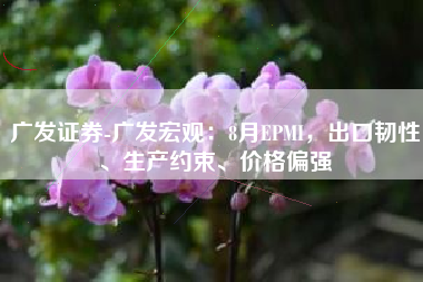 广发证券-广发宏观：8月EPMI，出口韧性、生产约束、价格偏强
