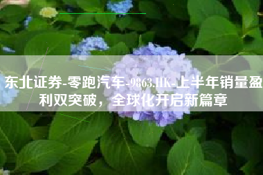 东北证券-零跑汽车-9863.HK-上半年销量盈利双突破，全球化开启新篇章