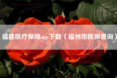 福建医疗保障app下载（福州市医保查询）