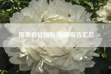 国泰君安国际-每周报告汇总