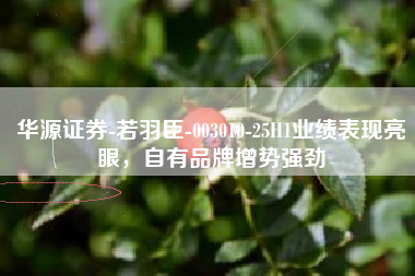 华源证券-若羽臣-003010-25H1业绩表现亮眼，自有品牌增势强劲