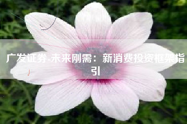 广发证券-未来刚需：新消费投资框架指引