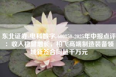 东北证券-电科数字-600850-2025年中报点评：收入稳健增长，柏飞高端制造装备领域新签合同超千万元