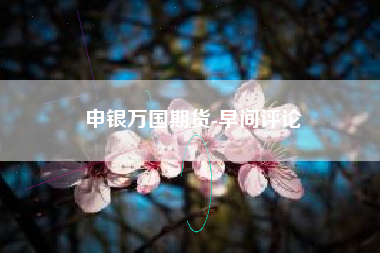 申银万国期货-早间评论
