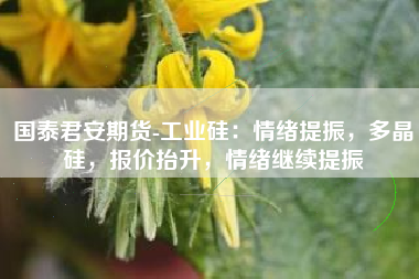国泰君安期货-工业硅：情绪提振，多晶硅，报价抬升，情绪继续提振
