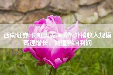 西南证券-长虹美菱-000521-外销收入规模高速增长，减值影响利润