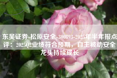 东吴证券-松原安全-300893-2025年半年报点评：2025Q2业绩符合预期，自主被动安全龙头持续成长