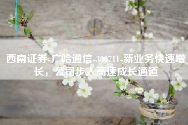 西南证券-广哈通信-300711-新业务快速增长，公司步入高速成长通道