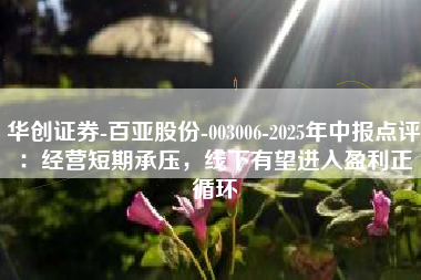 华创证券-百亚股份-003006-2025年中报点评：经营短期承压，线下有望进入盈利正循环