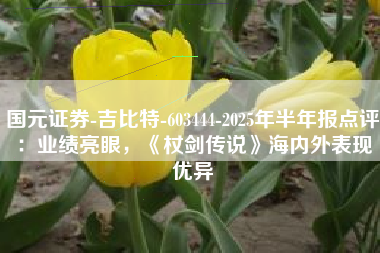 国元证券-吉比特-603444-2025年半年报点评：业绩亮眼，《杖剑传说》海内外表现优异
