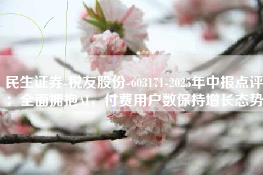 民生证券-税友股份-603171-2025年中报点评：全面拥抱AI，付费用户数保持增长态势
