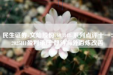 民生证券-文灿股份-603348-系列点评十一：2025H1盈利承压 静待海外百炼改善