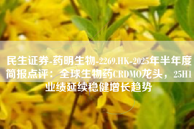 民生证券-药明生物-2269.HK-2025年半年度简报点评：全球生物药CRDMO龙头，25H1业绩延续稳健增长趋势