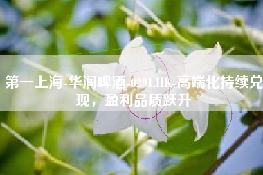第一上海-华润啤酒-0291.HK-高端化持续兑现，盈利品质跃升