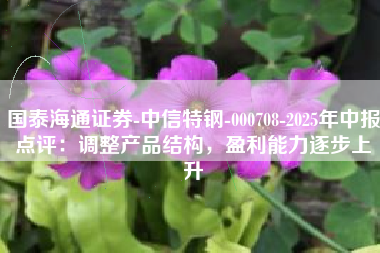 国泰海通证券-中信特钢-000708-2025年中报点评：调整产品结构，盈利能力逐步上升