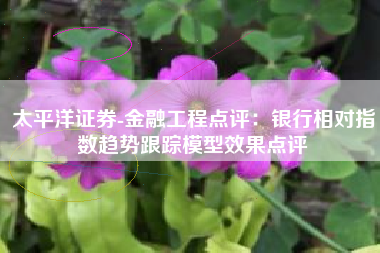太平洋证券-金融工程点评：银行相对指数趋势跟踪模型效果点评