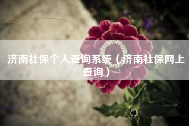 济南社保个人查询系统（济南社保网上查询）