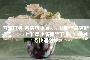 开源证券-普洛药业-000739-公司信息更新报告：2025上半年业绩有所下滑，CDMO业务快速增长