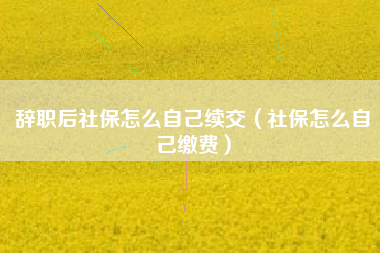 辞职后社保怎么自己续交（社保怎么自己缴费）